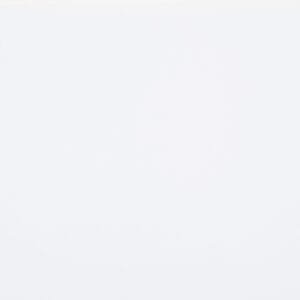 Composiet Werkbladen Silestone Miami White17