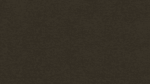 Unistone Eramosa Brown Composiet Keukenbladen